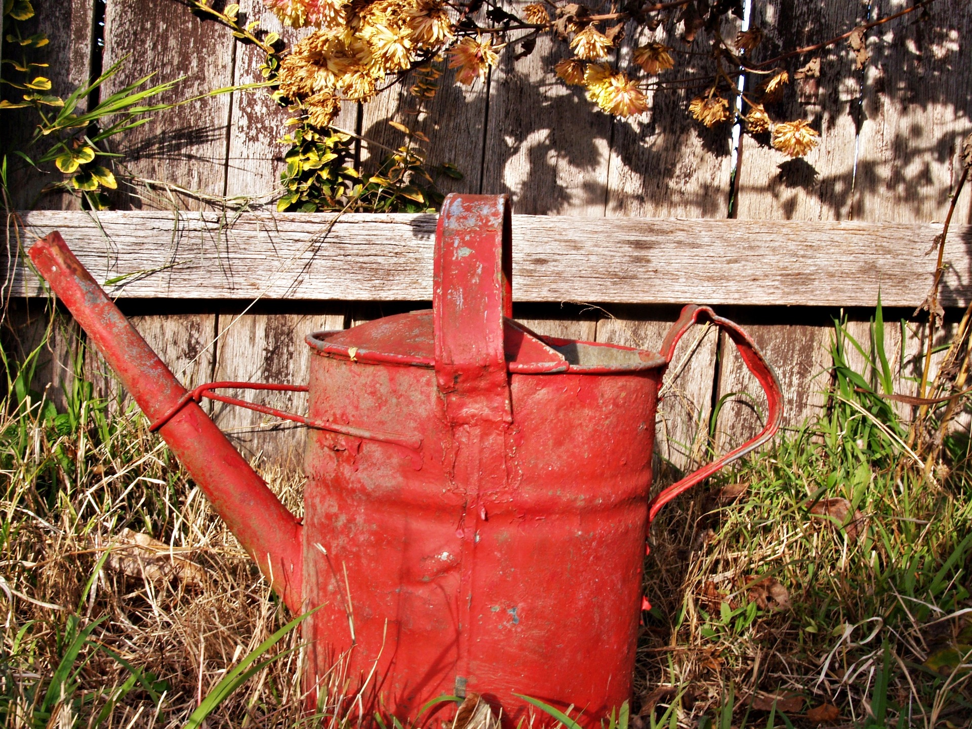 watering-can-1466632_1920